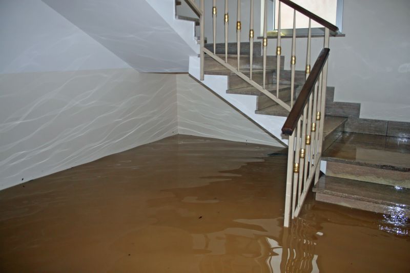 Basement Restoration Service in Gilbert, AZ