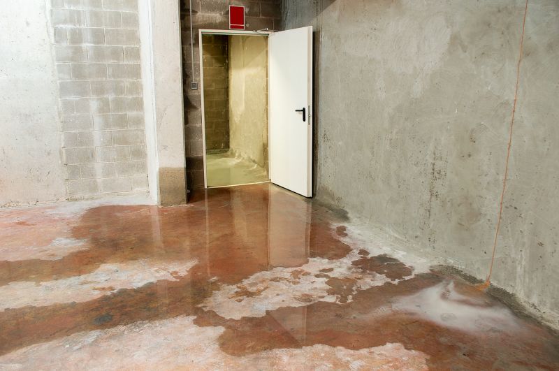Basement Restoration Service in Phoenix, AZ