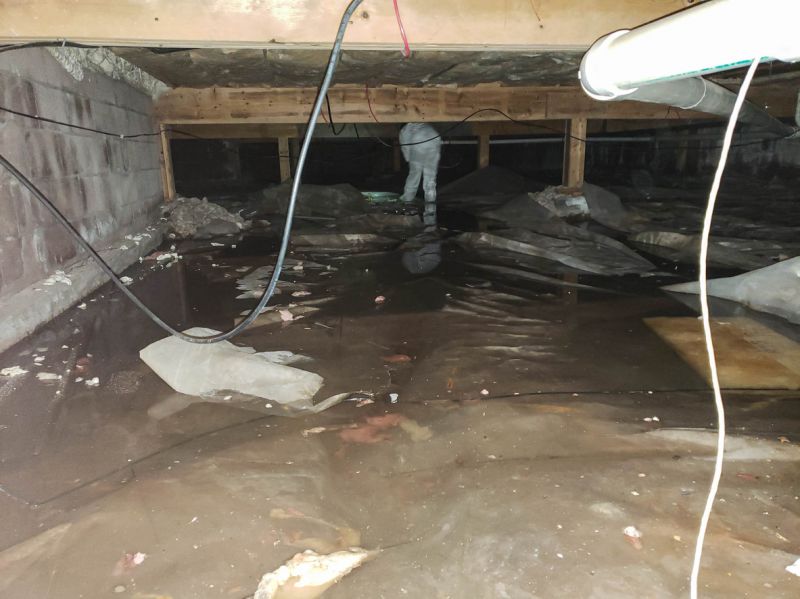 Emergency Water Removal in Phoenix, AZ