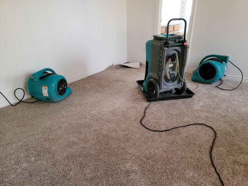 Water Damage Cleanup in Mesa, AZ