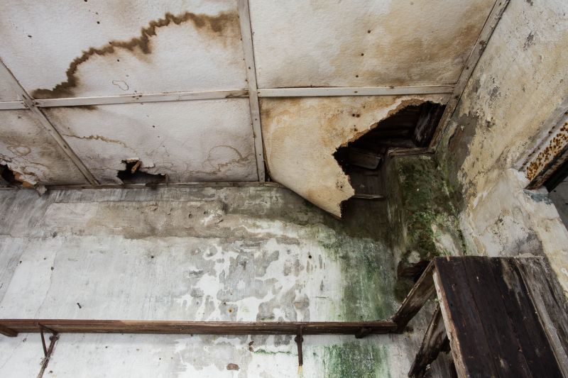 Water Damage Remediation in Scottsdale, AZ