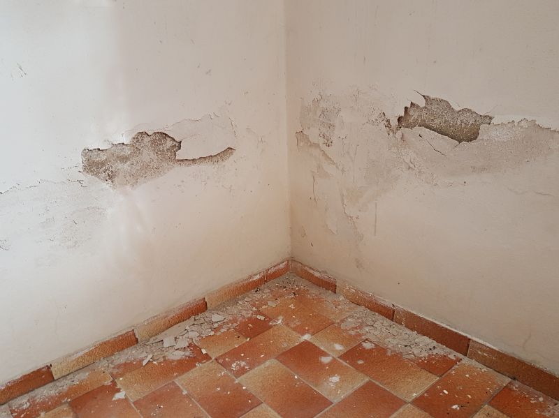 Water Damage Repair in Chandler, AZ