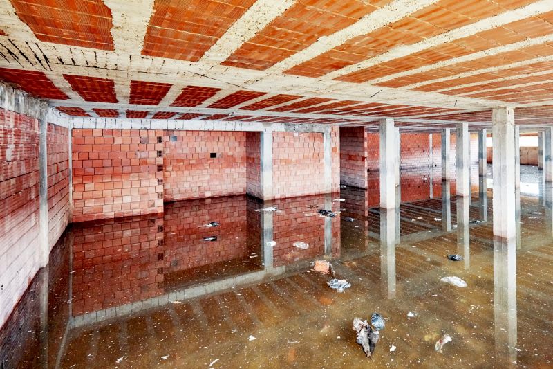 Basement Water Removal in Mesa, AZ
