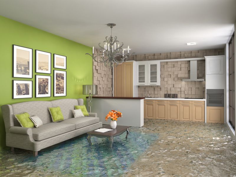 Wet Carpet Restoration in Chandler, AZ