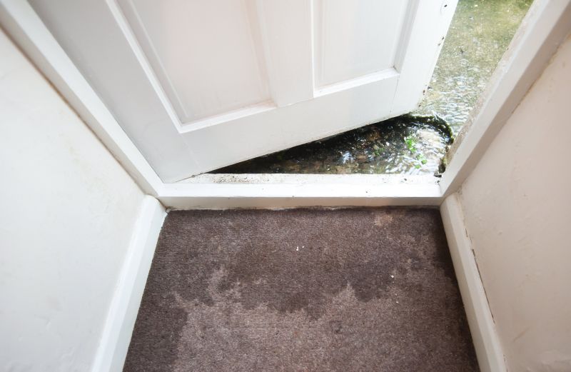 Wet Carpet Restoration in Mesa, AZ